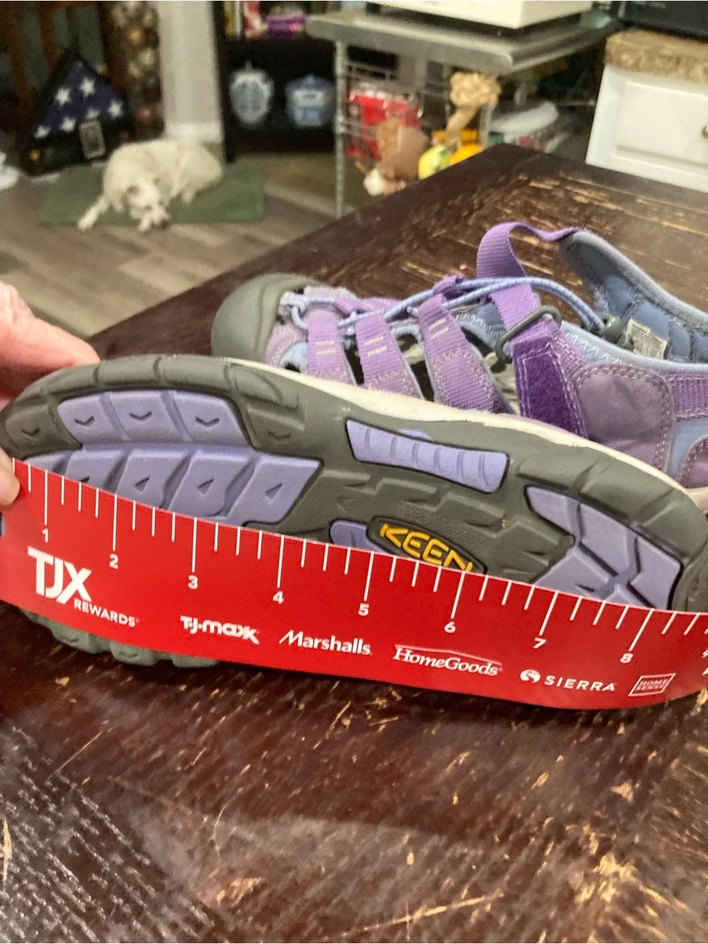 Keen Kids Purple Closed-Toe Outdoor Sandals
